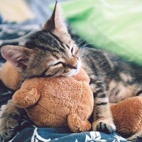 Александр Кузьмин