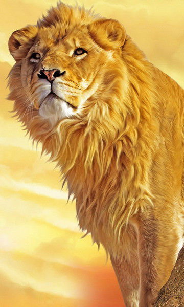 Юлия Кудрявцева