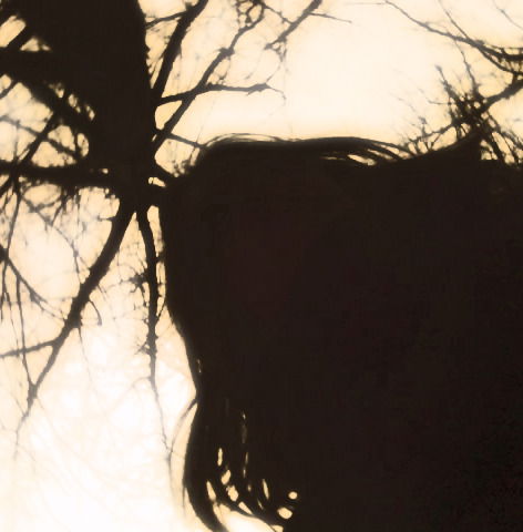 Артур Орлов