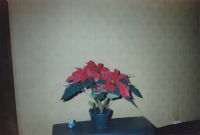 Наталия Абросимова