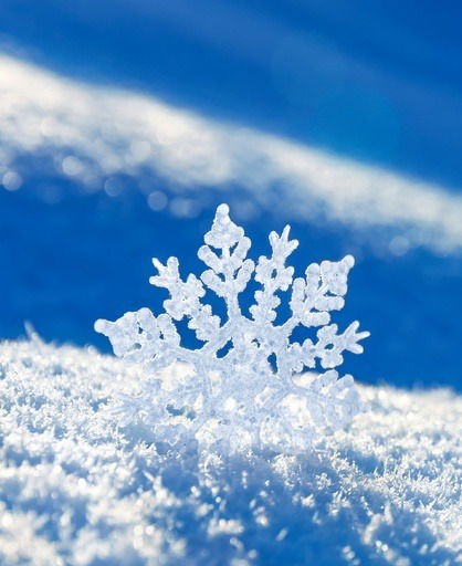 * Автохолод