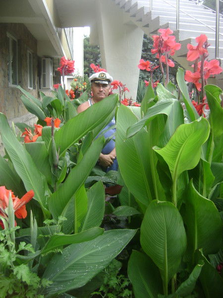 Николай Краснов