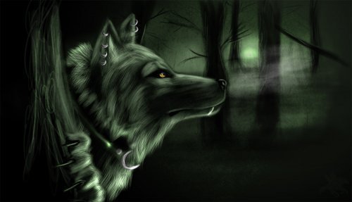 Одинокий Чёный