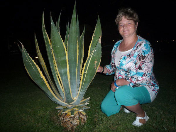 Ольга Каштанова