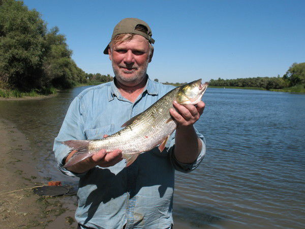 Владимир Гущин