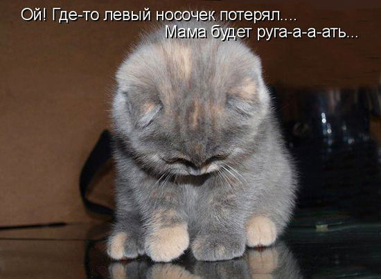 Анастасия Радчикова