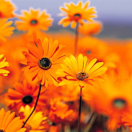 Абдучаббор Алиев