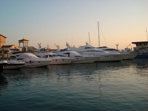 Вадим Тимошин