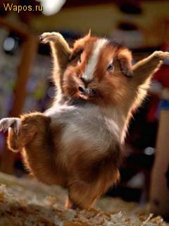 Фомка Фомичев