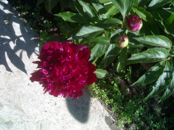 Ольга Вагапова