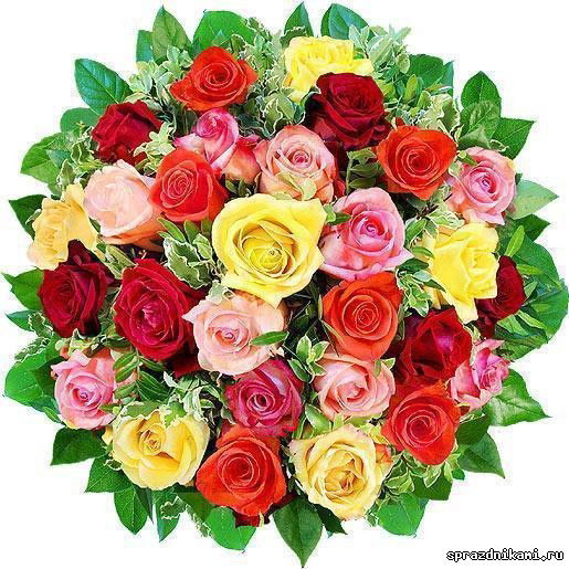 Гульнара Сафитдинова