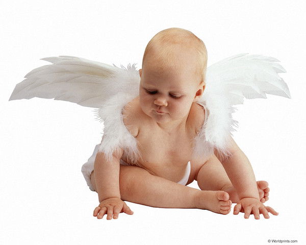 Елена Шерстюк