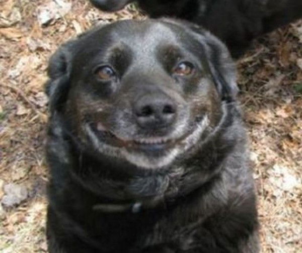 Константин Горбачев