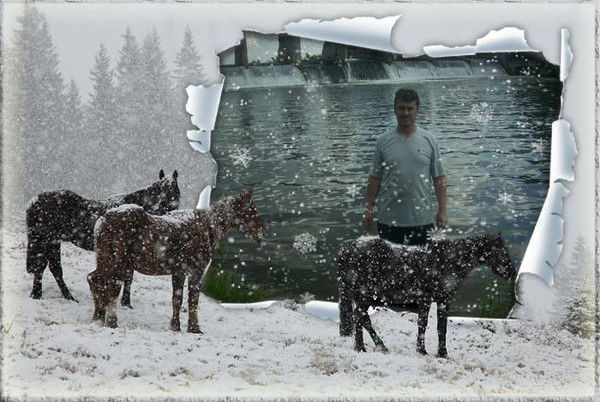 Александр Шмелёв