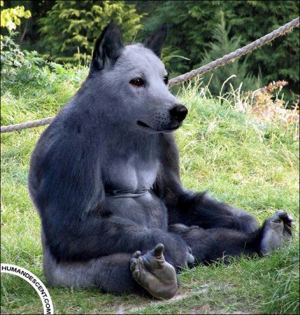 Владимир Рулёв