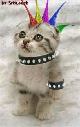 Юлия Вестер