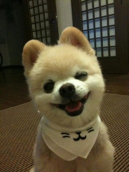 Алексей Августовский