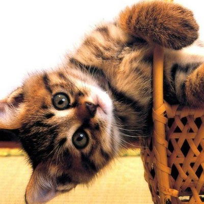 Оксана Гусева