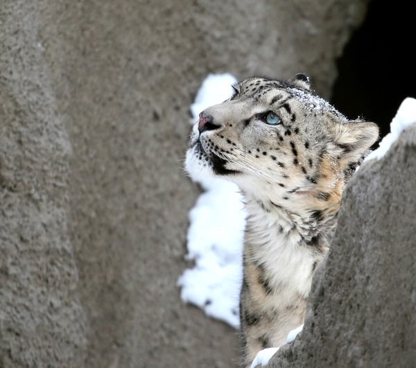 Алексей Кашин