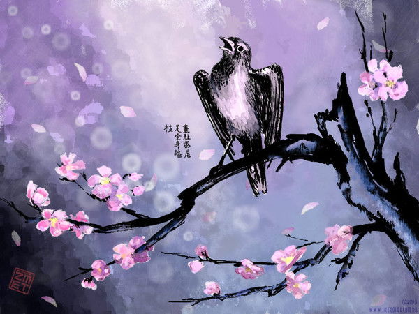 Антонина Ко