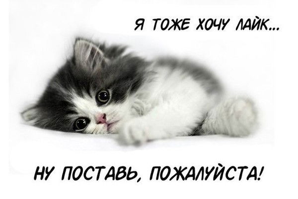 Аружан Орналы