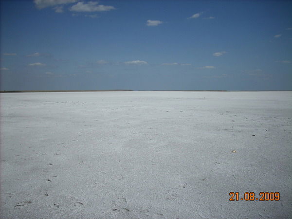 Беседина Наталья