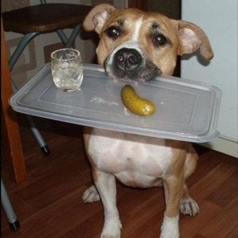 Андрей Ямщиков