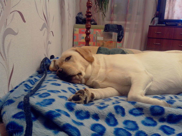 Андрей Немцев