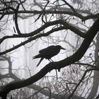 Егор Буланов