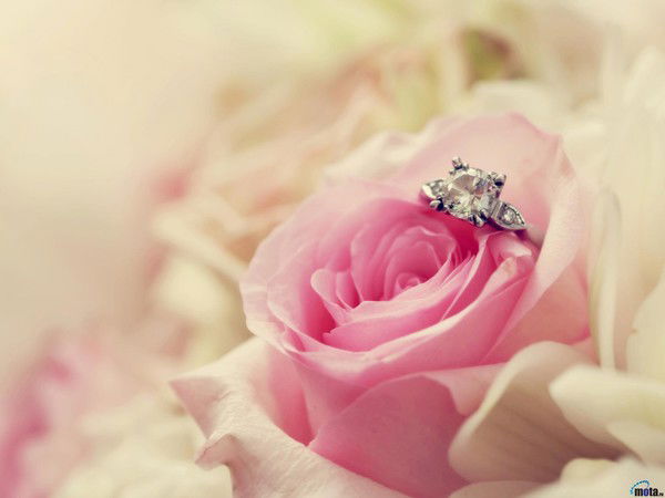 Айдунбег Алибеков