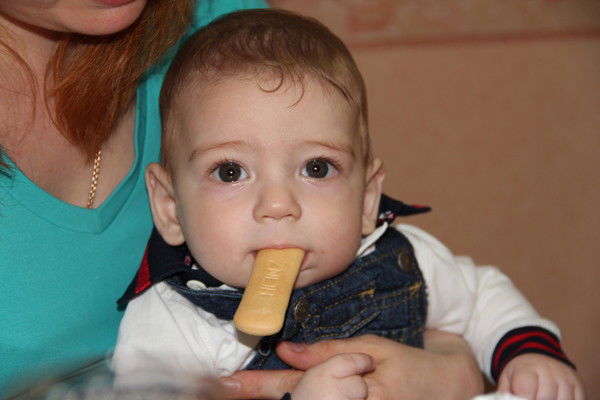 Елена Винокурова