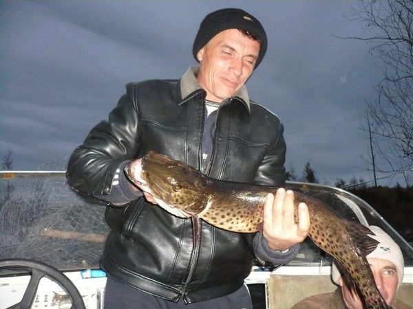 Сергей Аникин