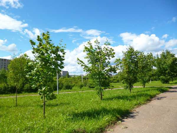 Наталья Щербинина