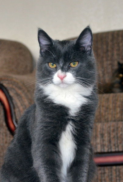 Татьяна Давыдова