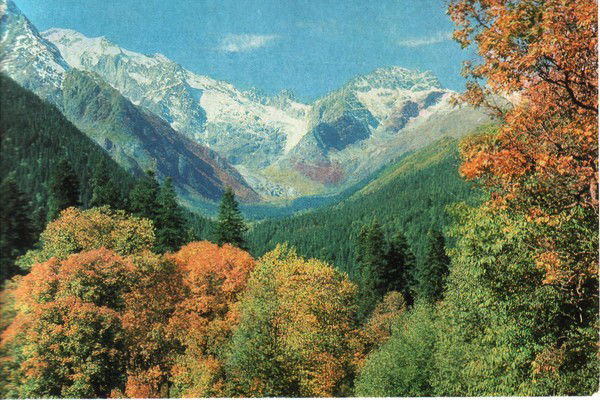 Алексей Абрамкин