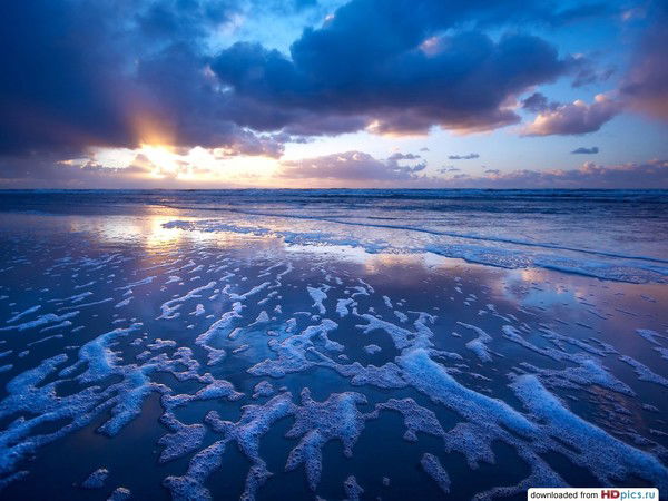 Данила Ларионов