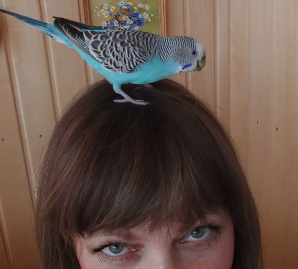 Ирина Букина