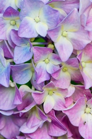 Валерия Богатырева