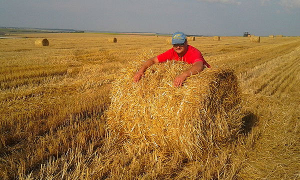 Андрей Лукьянченко