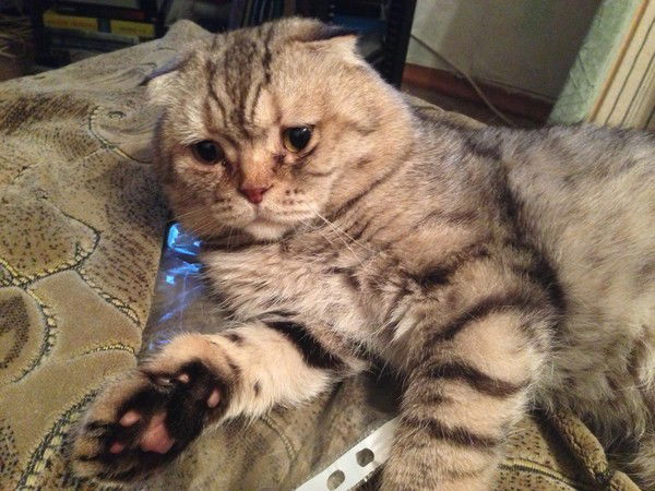 Тырина Марина