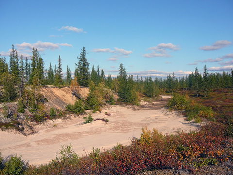Мкоу Азовская Сош Овц Сош