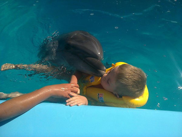 Виталий Брахнов