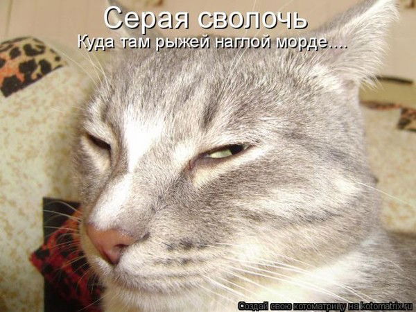 Вадим Пасарар