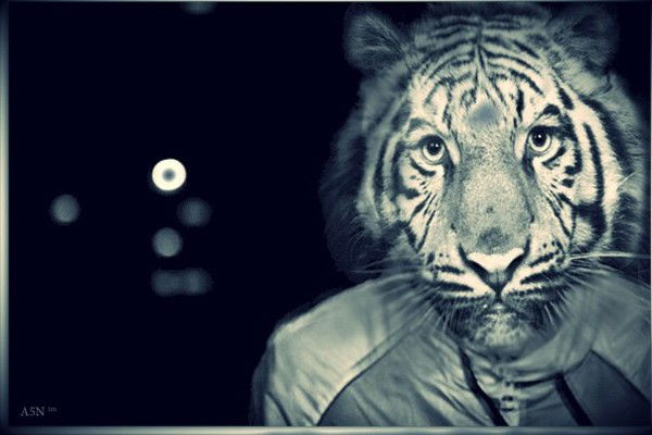 Филипп Шумков