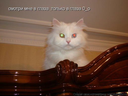 Пистонова Оксана