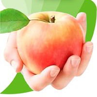 Центр Коррекции Здоровья Философия Здоровой Жизни