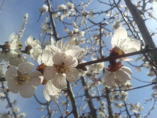 Дана Есимбаева