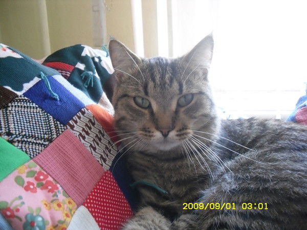 Алексей Новоселов