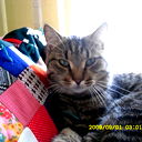 Алексей Новоселов