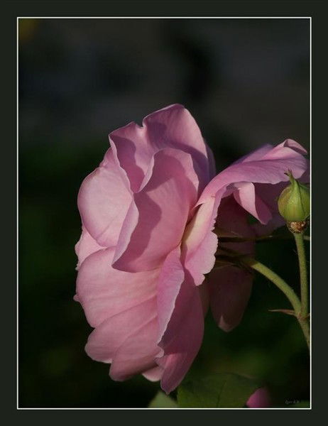 Неизвестно Неизвестно